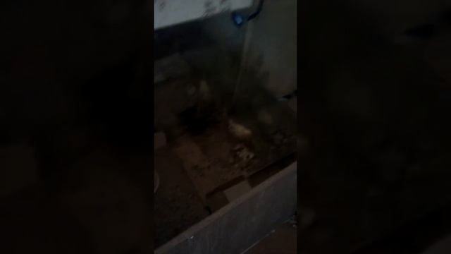 Термо клей самое лючшие применение .? смотреть онлайн