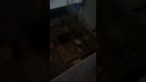 Термо клей самое лючшие применение .?