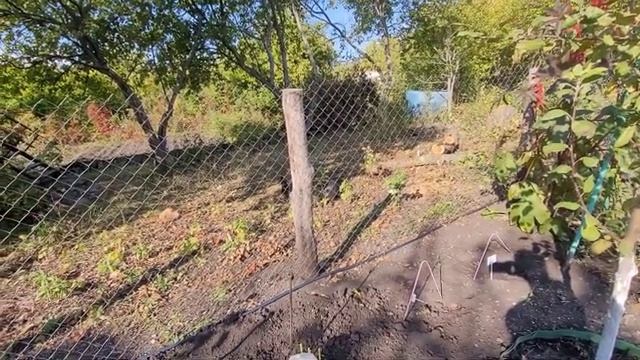17.09.23 из зелёного в шоколад смотреть онлайн