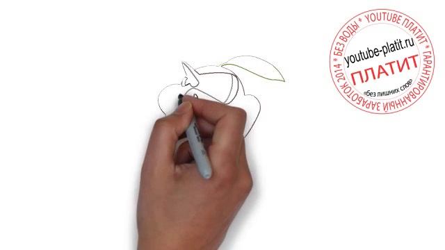 Уровни эволюции покемонов Нузлиф Как правильно рисовать покемонов nuzleaf поэтапно за 39 секунд смотреть онлайн