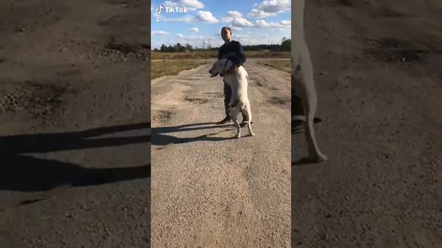 30 сентября 2020 г. смотреть онлайн