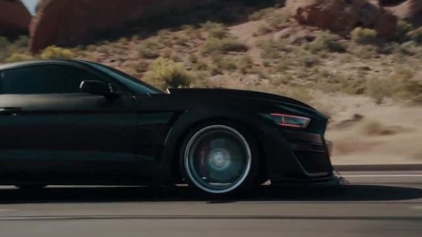 MVDNES, WYR GEMI, ReddCross, HVZVRD - PLAYER