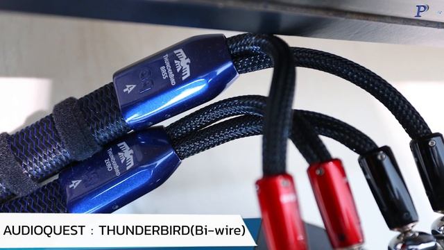 น้องแม็กซ์ส่ง B&W 800D3 เล่นกับ Octave RE-320 และ EDGE NQ พร้อมสายลำโพง AQ Thunderbird เสียงดีสุดๆๆ смотреть онлайн