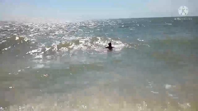 отдых в ст Должанская смотреть онлайн