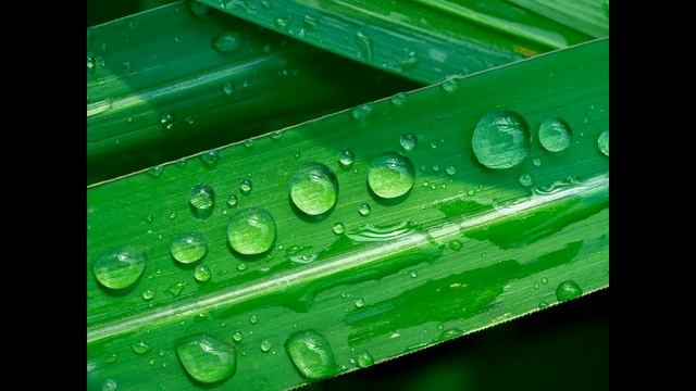 Звуки дождя без грома для сна и отдыха. Rain sounds for sleeping and relaxing. смотреть онлайн