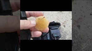 Адсорбер cruze изнутри