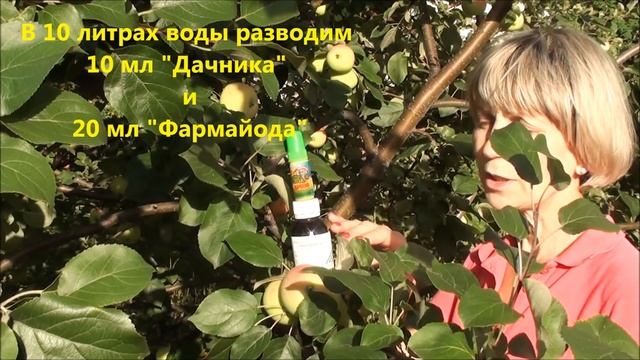 Экологическая защита сада от болезней и насекомых вредителей смотреть онлайн