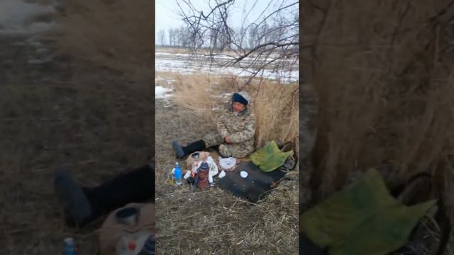 Кокпар смотреть онлайн