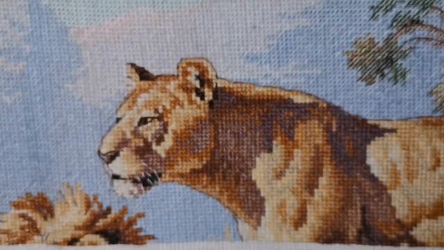 2 отчет DIMENSIONS африканские львы. Вышивка крестом. Поболтаем. смотреть онлайн