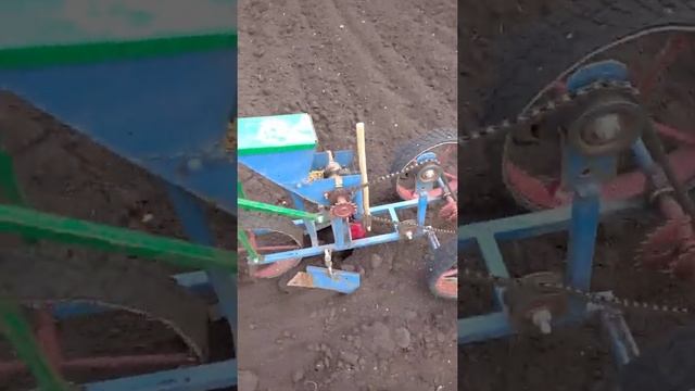 Посадка свеклы самодельной сеялкой "Помощница-1" смотреть онлайн