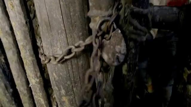 Пока Цветет Папоротник смотреть онлайн