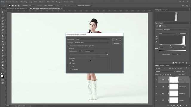 Werken met kleurtabellen oftewel LUT (Photoshop) смотреть онлайн