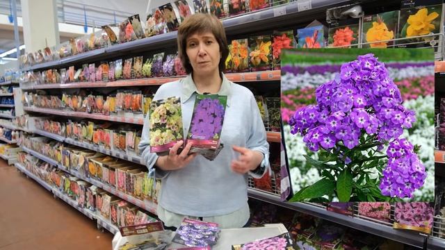 Выбираем многолетние луковичные растения для украшения сада. смотреть онлайн