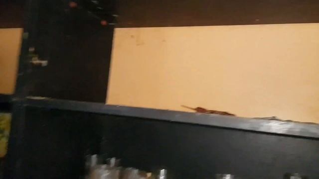 Таких находок давно я не копал!Попал на старинную деревню! смотреть онлайн