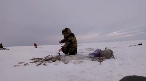 Ловля окуня на блесну зимой.