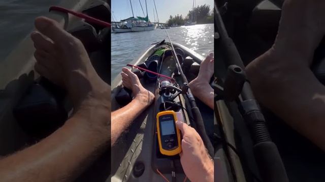 Trying an inexpensive fish finder смотреть онлайн