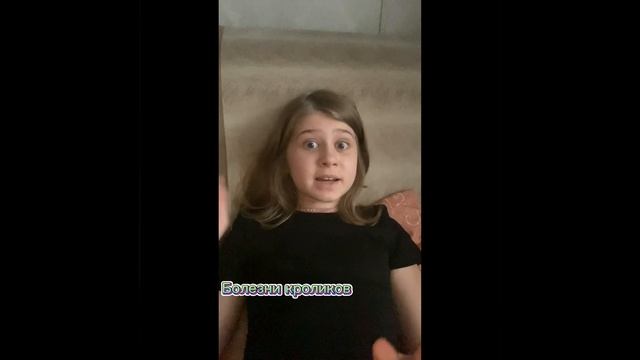 КАК УБИРАТСЯ В КЛЕТКЕ У КРОЛИКА/ КАКИЕ БОЛЕЗНИ У КРОЛИКОВ/ КАКИЕ ПОРОДЫ ЕСТЬ У КРОЛИКОВ / смотреть онлайн