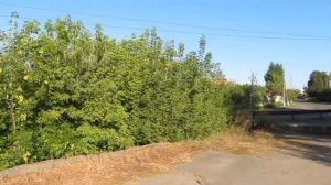 Казачья Лопань