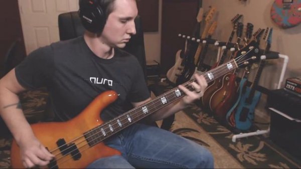 I'm Broken Spector Bass Cover