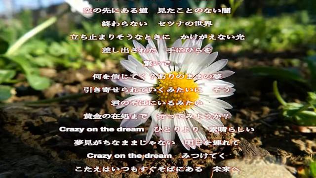Crazy on the dream／野川さくら／歌詞付き Relaxing Music смотреть онлайн
