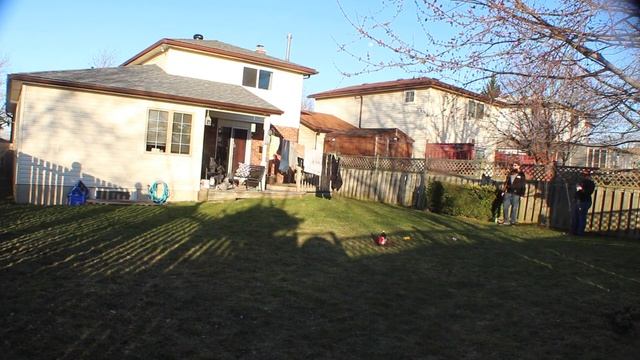 THE BEST TEAM DRINKING GAME (FLUNKY BALL) смотреть онлайн