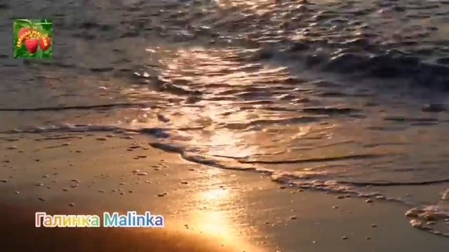 Колесниковы /Обзор Влогов /Хватит Собачиться//Научись уважать людей // смотреть онлайн