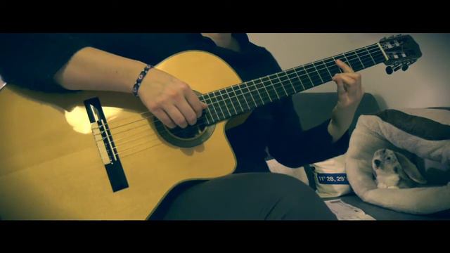 Can't help falling in love (G D Weiss, H Peretti & L Creatore) смотреть онлайн