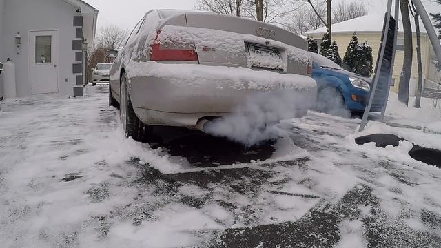 2001 Audi B5 S4 COLD START - Catless Exhaust смотреть онлайн