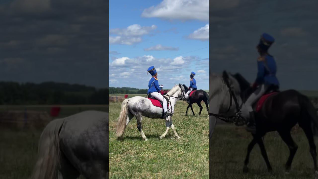 День Орловского поля 2024 #фнцзбк #ОрловскийДеньПоля #ДеньРусскогоПоля #Шаман смотреть онлайн