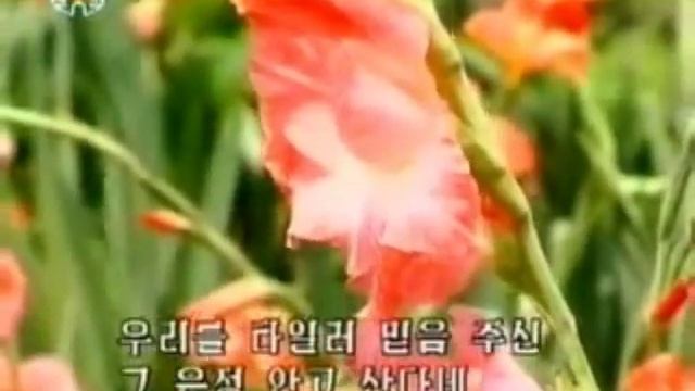 그 품 떠나 못 살아　 We cannot live apart from his bosom смотреть онлайн