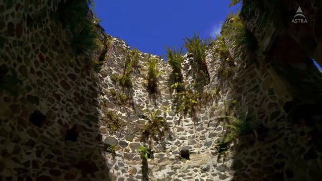 Красивое 8К Видео.