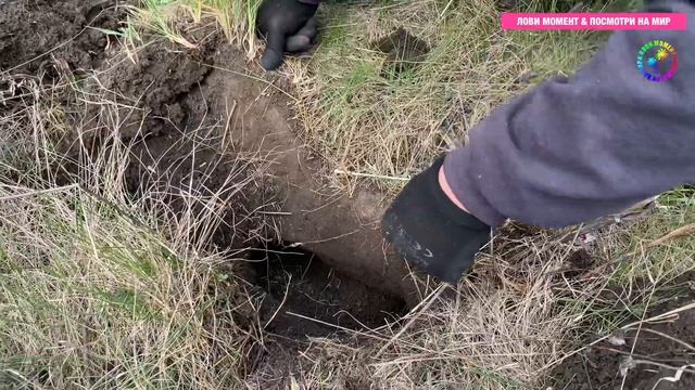 Ловушка для Крота #1 #2 смотреть онлайн