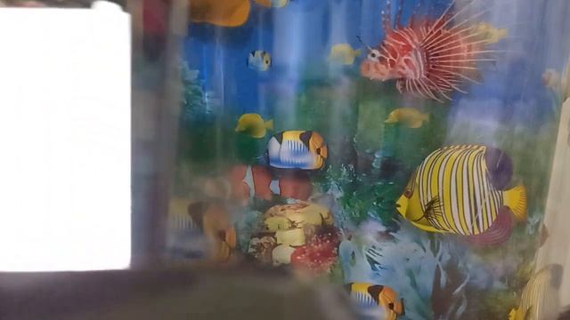 время есть самая стабильная валюта смотреть онлайн