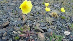 Норильск. Старый город.