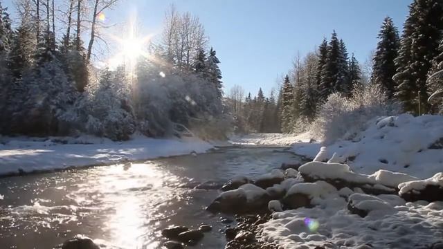 Звуки природы, звуки текущей лесной реки смотреть онлайн