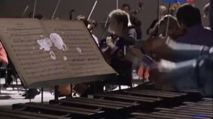 12. "Ископаемые" -  Фрагмент из сюиты французского композитора Камиля Сен-Сана "Карнавал животных".