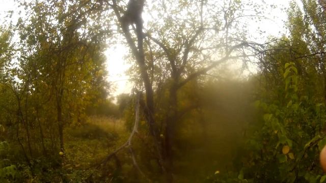 реальный заработок на яблоках/ сколько можно заработать сдавая яблоки на переработку смотреть онлайн