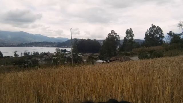 🍃🌾Musica De Los Andes | Flautas Andinas🌾🍃 смотреть онлайн