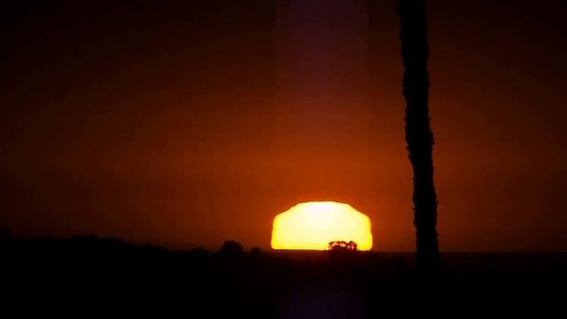 Sunset in the Pacific - October 30, 2023 смотреть онлайн