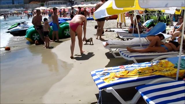 Girls Swimming in the Pool | Summer Fun | Девчонки в бассейне смотреть онлайн
