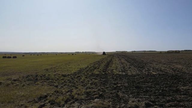 На самом деле хлеб на деревьях не растёт | Один день с фермером смотреть онлайн