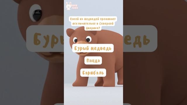 Миниквиз о медведях №1 | Квизкидс | Quizkids #quiz #викторина #guess #медведь #kids #длядетей смотреть онлайн
