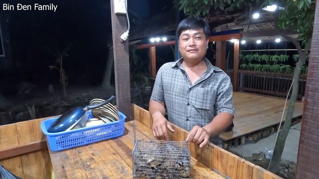 Bẫy CÚT LỦI đặc sản đồng ruộng. CÚT LỦI RÔ TI NGON KHÔNG TẢ ĐƯỢC - Bin Đen & Family # 121 смотреть онлайн