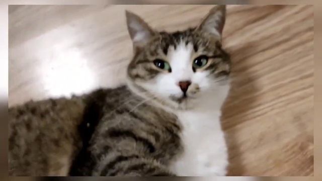 Нежная погружающая сказка для взрослых День-Ночь смотреть онлайн