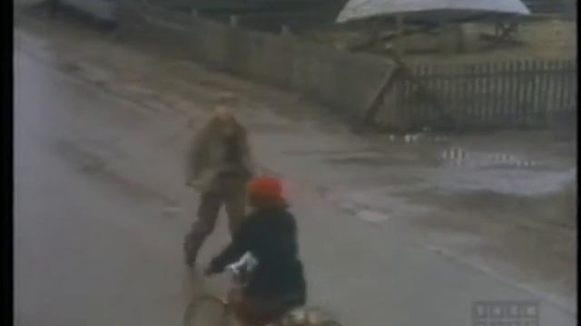 The Bay Boy 1984