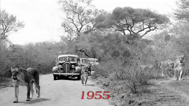 Historic Kruger National Park смотреть онлайн
