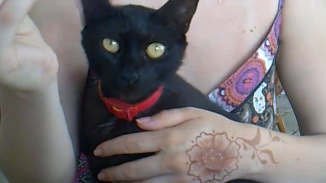 Роза смотреть онлайн