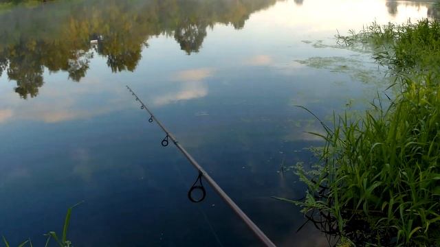 Разловил STRIKE PRO Inquisitor 110SP.Отчёт с рыбалки 09.06.2019г смотреть онлайн