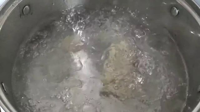 Влоги с Путешествиями