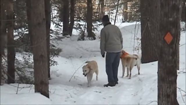 Winter's Walk MG Willow n Nash by John Garand 2008 wmv смотреть онлайн